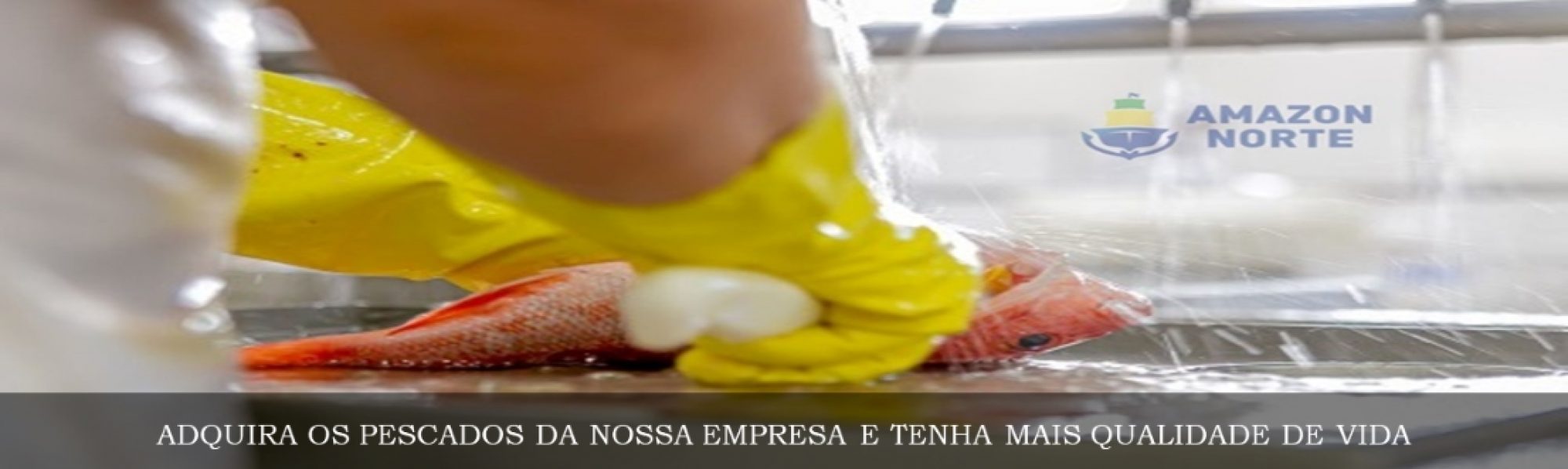 cropped-topo4 Nossos Produtos