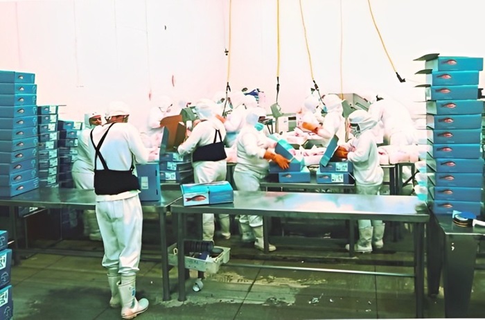 embalagem Nossos Produtos