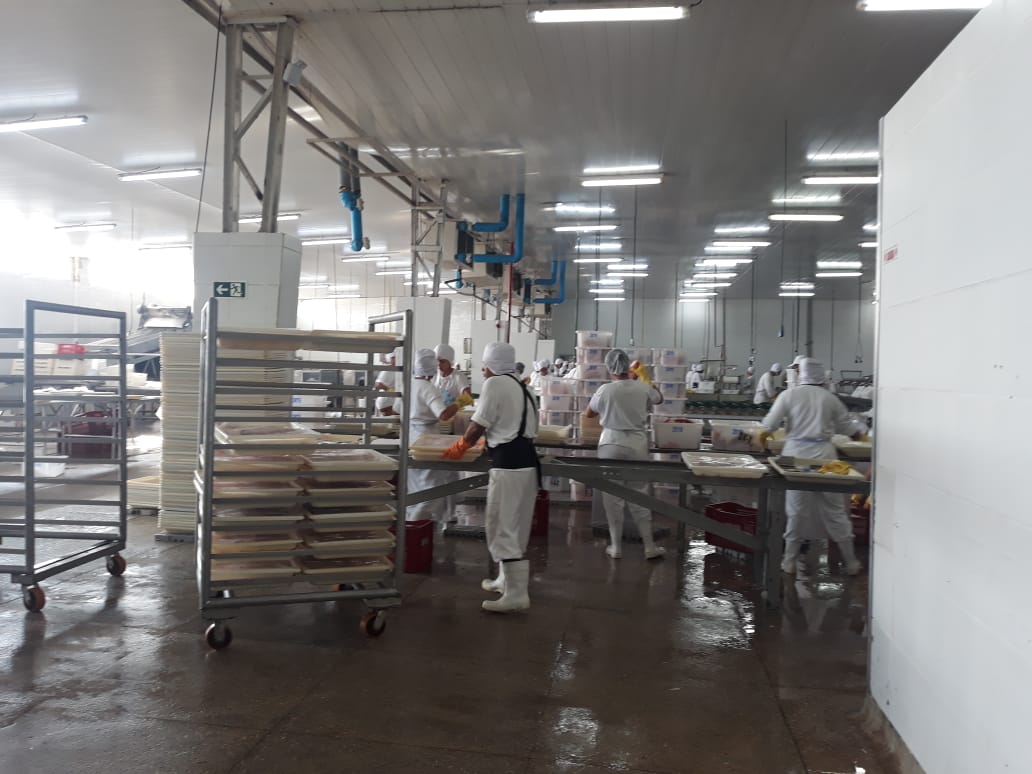 salao2 Nossos Produtos