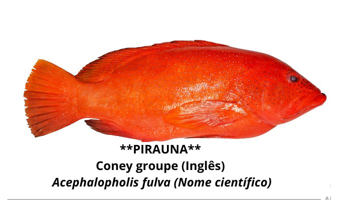 PIRAUNA Nossos Produtos