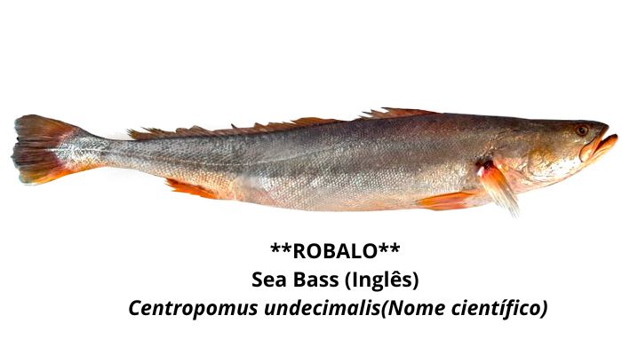 ROBALO Nossos Produtos