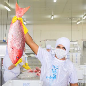PRODUCAO-0029-scaled-rp7b1sjj32vajpsnqfjdcbn8w023c62rsoyhae5ho8 Somos a Amazon Norte Pescados!